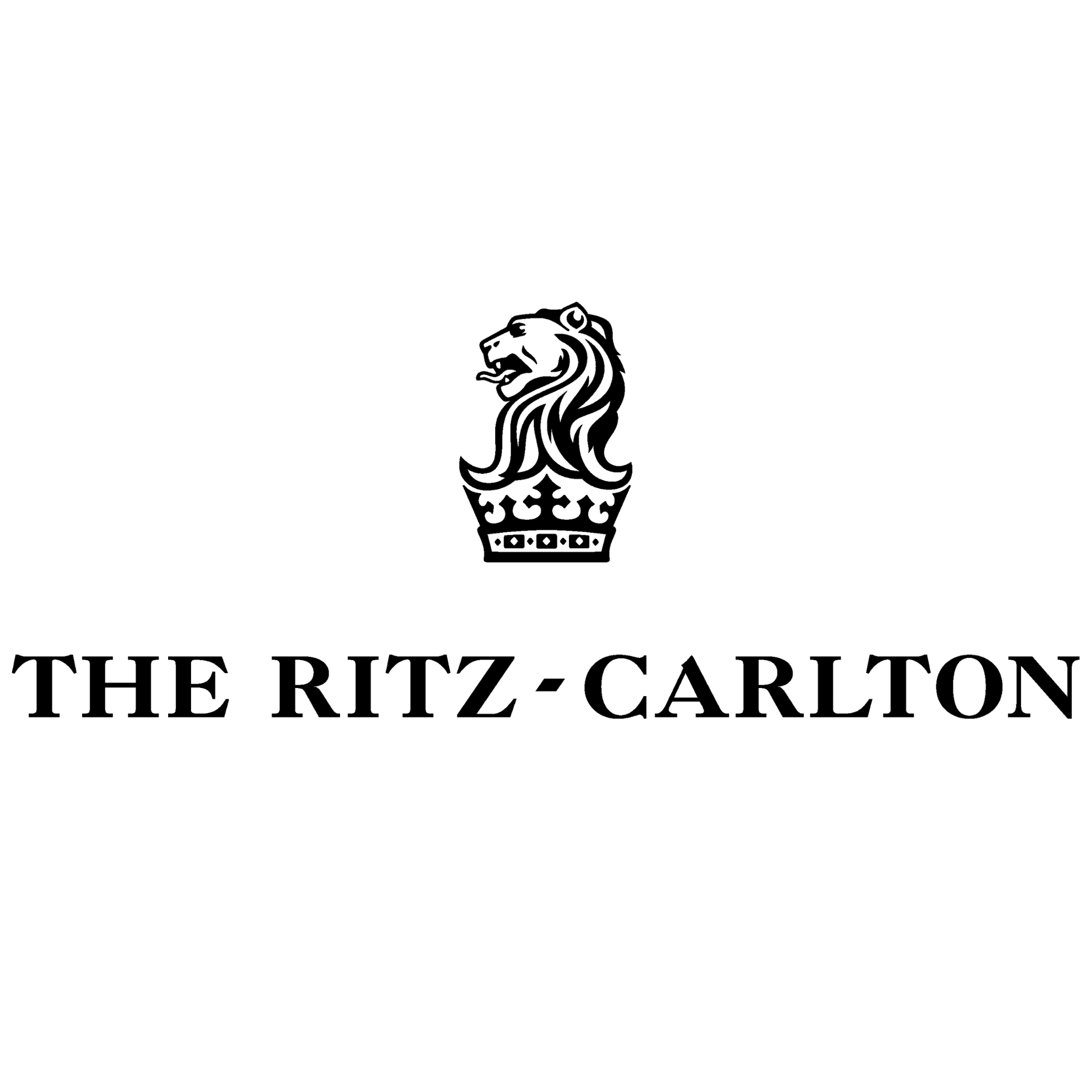 Client Logo 10